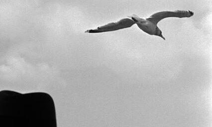 by Rene Burri