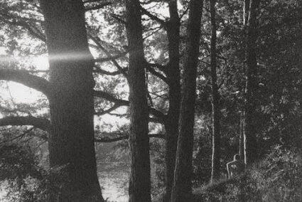 Lightly, lightly, very lightly