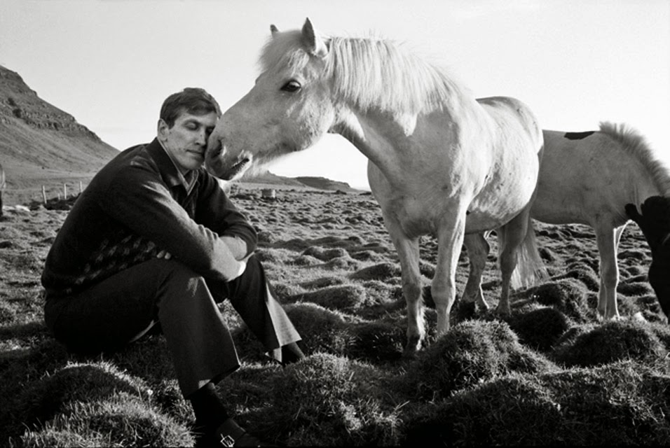 AHorseKissingBobbyFischerIceland