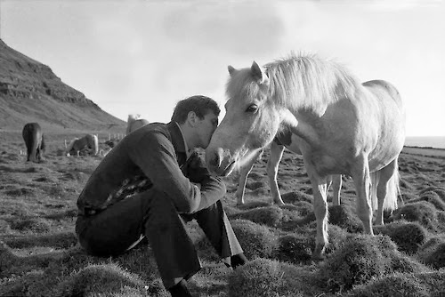 HorseKissingBobbyFischer
