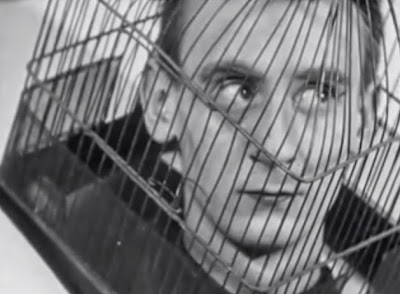 TheCageSidneyPeterson26