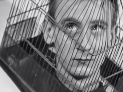 TheCageSidneyPeterson27