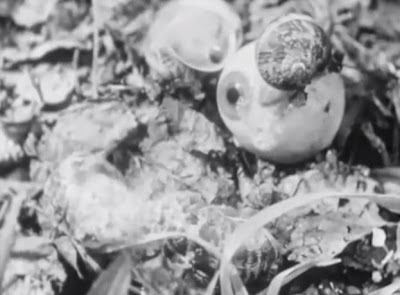 TheCageSidneyPeterson33