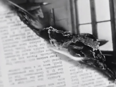 TheCageSidneyPeterson4