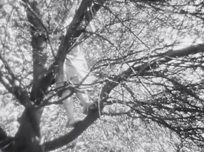 TheCageSidneyPeterson56