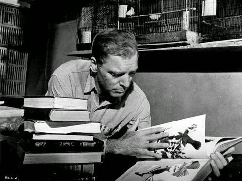 Flick Review < Birdman of Alcatraz | Robert Stroud / John Frankenheimer (1962) 9 Flick Review < Birdman of Alcatraz | Robert Stroud / John Frankenheimer (1962) BirdmanofAlcatraz