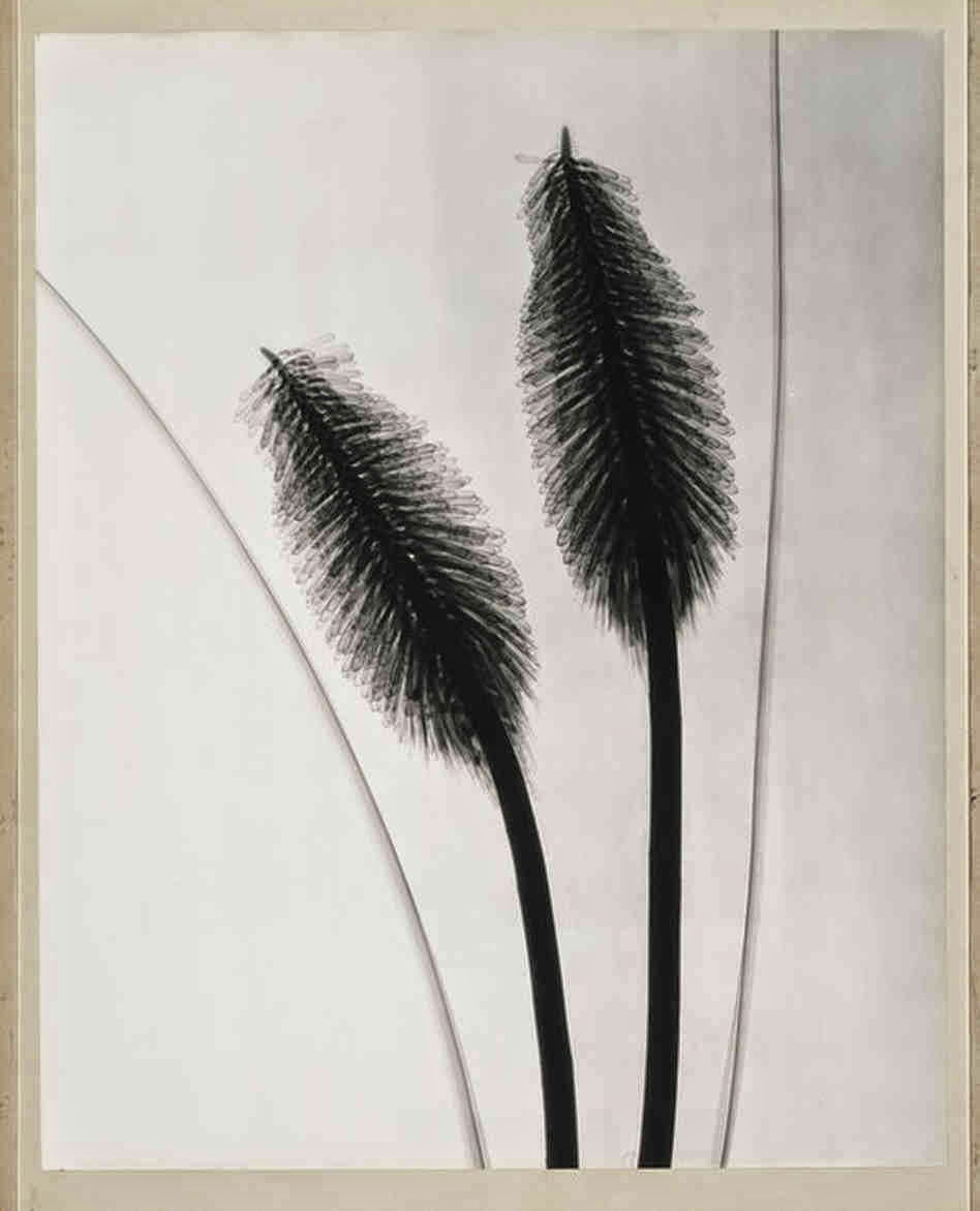 RadiologistDainL.Tasker