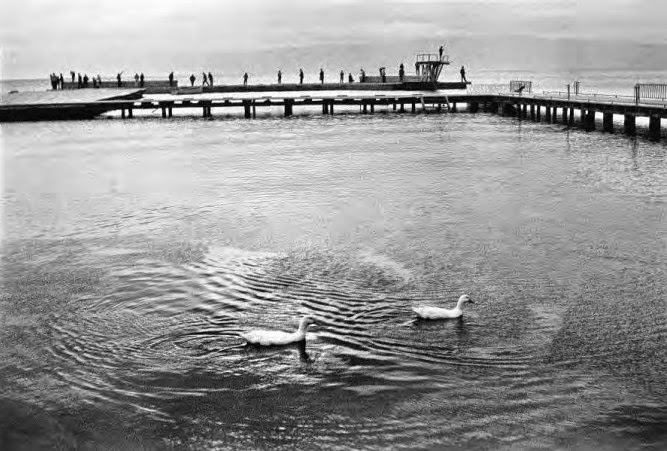 Θα ξαναγυρίσουμε / Παραινέσεις / Φωτογραφίες | Κλείτος Κύρου, 1949-64 10 Θα ξαναγυρίσουμε / Παραινέσεις / Φωτογραφίες | Κλείτος Κύρου, 1949-64 CE9ACEBBCEB5CEAFCF84CEBFCF822BCE9ACF8DCF81CEBFCF852B2 2