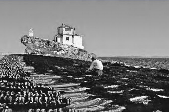 Θα ξαναγυρίσουμε / Παραινέσεις / Φωτογραφίες | Κλείτος Κύρου, 1949-64 8 Θα ξαναγυρίσουμε / Παραινέσεις / Φωτογραφίες | Κλείτος Κύρου, 1949-64 CE9ACEBBCEB5CEAFCF84CEBFCF822BCE9ACF8DCF81CEBFCF852B3