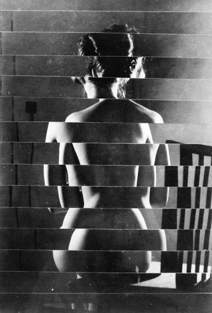 VC3A1clav2BChochola2B1