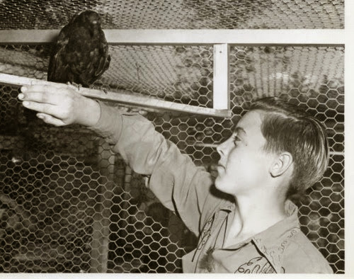 BoyandBirdWisconsinRapids