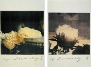 Peonies Photos by Cy Twombly