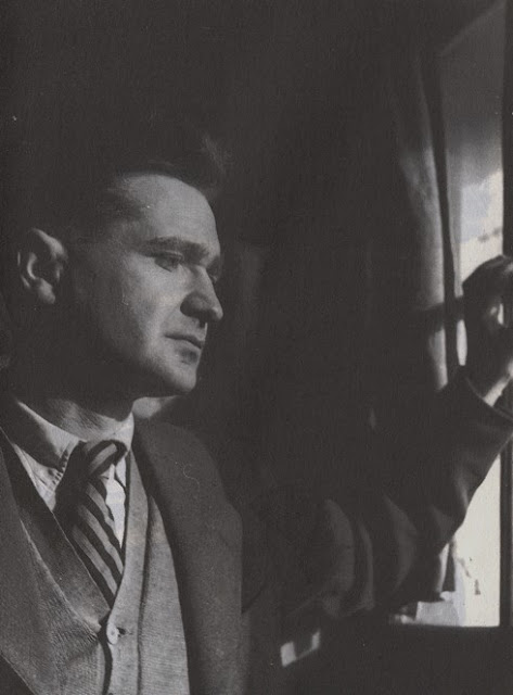 emil cioran window young