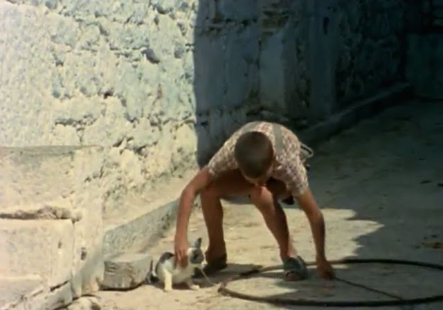 Flick Review < The Tree We Hurt | Dimos Avdeliodis (1986) / Το Δέντρο που Πληγώναμε | Δήμος Αβδελιώδης 25 Flick Review < The Tree We Hurt | Dimos Avdeliodis (1986) / Το Δέντρο που Πληγώναμε | Δήμος Αβδελιώδης 25CE259425CE25AE25CE25BC25CE25BF25CF25822B25CE259125CE25B225CE25B425CE25B525CE25BB25CE25B925CF258E25CE25B425CE25B725CF25822B252832529