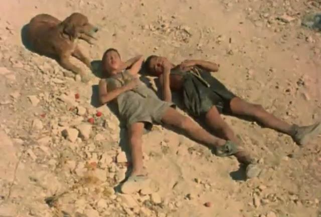 Flick Review < The Tree We Hurt | Dimos Avdeliodis (1986) / Το Δέντρο που Πληγώναμε | Δήμος Αβδελιώδης 42 Flick Review < The Tree We Hurt | Dimos Avdeliodis (1986) / Το Δέντρο που Πληγώναμε | Δήμος Αβδελιώδης 25CE259425CE25AE25CE25BC25CE25BF25CF25822B25CE259125CE25B225CE25B425CE25B525CE25BB25CE25B925CF258E25CE25B425CE25B725CF25822B2528342529