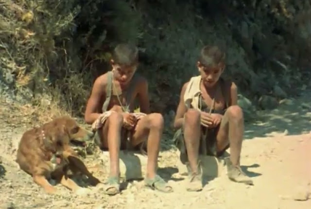 Flick Review < The Tree We Hurt | Dimos Avdeliodis (1986) / Το Δέντρο που Πληγώναμε | Δήμος Αβδελιώδης 43 Flick Review < The Tree We Hurt | Dimos Avdeliodis (1986) / Το Δέντρο που Πληγώναμε | Δήμος Αβδελιώδης 25CE259425CE25AE25CE25BC25CE25BF25CF25822B25CE259125CE25B225CE25B425CE25B525CE25BB25CE25B925CF258E25CE25B425CE25B725CF25822B2528352529