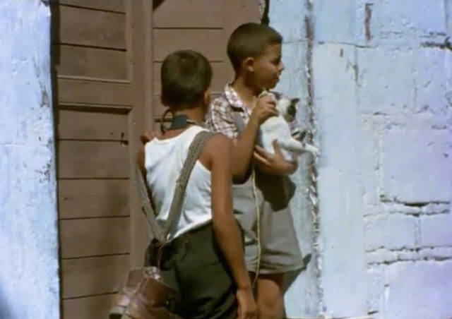 Flick Review < The Tree We Hurt | Dimos Avdeliodis (1986) / Το Δέντρο που Πληγώναμε | Δήμος Αβδελιώδης 26 Flick Review < The Tree We Hurt | Dimos Avdeliodis (1986) / Το Δέντρο που Πληγώναμε | Δήμος Αβδελιώδης 25CE259425CE25AE25CE25BC25CE25BF25CF25822B25CE259125CE25B225CE25B425CE25B525CE25BB25CE25B925CF258E25CE25B425CE25B725CF25822B252842529