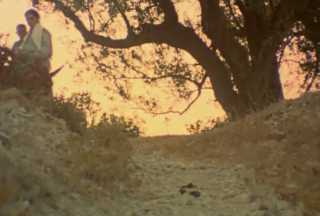 Flick Review < The Tree We Hurt | Dimos Avdeliodis (1986) / Το Δέντρο που Πληγώναμε | Δήμος Αβδελιώδης 9 Flick Review < The Tree We Hurt | Dimos Avdeliodis (1986) / Το Δέντρο που Πληγώναμε | Δήμος Αβδελιώδης 25CE25A425CE25BF2B25CE259425CE25AD25CE25BD25CF258425CF258125CE25BF2B25CF258025CE25BF25CF25852B25CE25A025CE25BB25CE25B725CE25B325CF258E25CE25BD25CE25B125CE25BC25CE25B52B2528162529