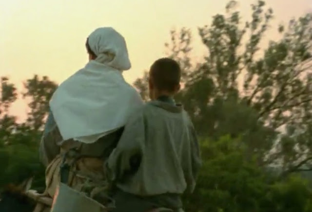 Flick Review < The Tree We Hurt | Dimos Avdeliodis (1986) / Το Δέντρο που Πληγώναμε | Δήμος Αβδελιώδης 10 Flick Review < The Tree We Hurt | Dimos Avdeliodis (1986) / Το Δέντρο που Πληγώναμε | Δήμος Αβδελιώδης 25CE25A425CE25BF2B25CE259425CE25AD25CE25BD25CF258425CF258125CE25BF2B25CF258025CE25BF25CF25852B25CE25A025CE25BB25CE25B725CE25B325CF258E25CE25BD25CE25B125CE25BC25CE25B52B2528202529