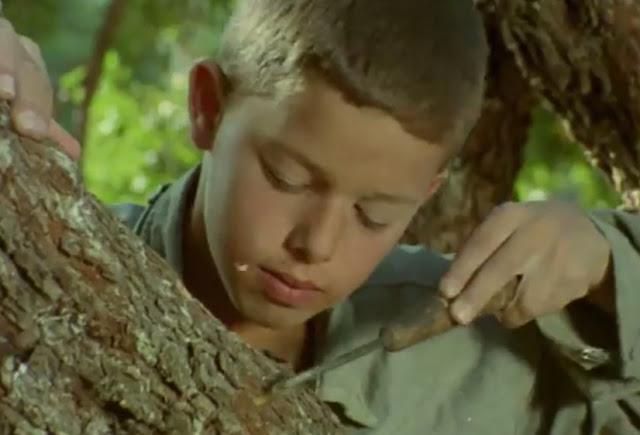 Flick Review < The Tree We Hurt | Dimos Avdeliodis (1986) / Το Δέντρο που Πληγώναμε | Δήμος Αβδελιώδης 12 Flick Review < The Tree We Hurt | Dimos Avdeliodis (1986) / Το Δέντρο που Πληγώναμε | Δήμος Αβδελιώδης 25CE25A425CE25BF2B25CE259425CE25AD25CE25BD25CF258425CF258125CE25BF2B25CF258025CE25BF25CF25852B25CE25A025CE25BB25CE25B725CE25B325CF258E25CE25BD25CE25B125CE25BC25CE25B52B2528222529