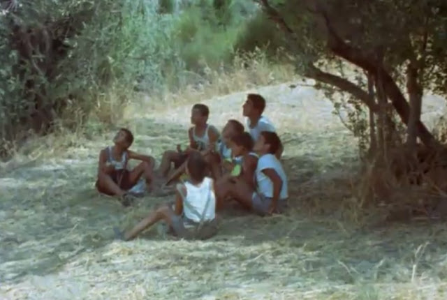Flick Review < The Tree We Hurt | Dimos Avdeliodis (1986) / Το Δέντρο που Πληγώναμε | Δήμος Αβδελιώδης 48 Flick Review < The Tree We Hurt | Dimos Avdeliodis (1986) / Το Δέντρο που Πληγώναμε | Δήμος Αβδελιώδης 25CE25B425CE25B525CE25BD25CF258425CF258125CE25BF2B25CE25B125CE25B225CE25B425CE25B525CE25BB25CE25B925CF258925CF258425CE25B725CF25822B252842529