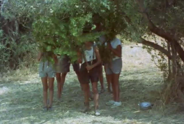 Flick Review < The Tree We Hurt | Dimos Avdeliodis (1986) / Το Δέντρο που Πληγώναμε | Δήμος Αβδελιώδης 50 Flick Review < The Tree We Hurt | Dimos Avdeliodis (1986) / Το Δέντρο που Πληγώναμε | Δήμος Αβδελιώδης 25CE25B425CE25B525CE25BD25CF258425CF258125CE25BF2B25CE25B125CE25B225CE25B425CE25B525CE25BB25CE25BF25CF258925CF258425CE25B725CF25822B252862529