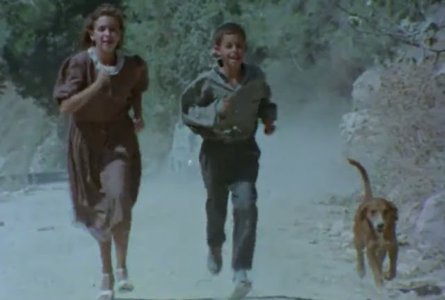 Flick Review < The Tree We Hurt | Dimos Avdeliodis (1986) / Το Δέντρο που Πληγώναμε | Δήμος Αβδελιώδης 65 Flick Review < The Tree We Hurt | Dimos Avdeliodis (1986) / Το Δέντρο που Πληγώναμε | Δήμος Αβδελιώδης 25CF258425CE25BF2B25CE25B425CE25B525CE25BD25CF258425CF258125CE25BF2B12B2528232529