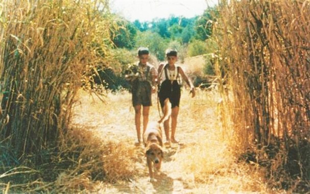 Flick Review < The Tree We Hurt | Dimos Avdeliodis (1986) / Το Δέντρο που Πληγώναμε | Δήμος Αβδελιώδης 28 Flick Review < The Tree We Hurt | Dimos Avdeliodis (1986) / Το Δέντρο που Πληγώναμε | Δήμος Αβδελιώδης 25CF258425CE25BF2B25CE25B425CE25B525CE25BD25CF258425CF258125CE25BF2B25CF258025CE25BF25CF25852B25CF258025CE25BB25CE25B725CE25B325CF258925CE25BD25CE25B125CE25BC25CE25B52B2528142529