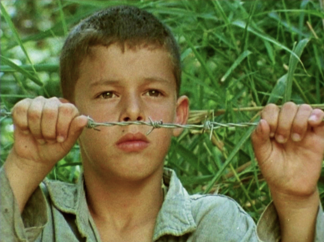 Flick Review < The Tree We Hurt | Dimos Avdeliodis (1986) / Το Δέντρο που Πληγώναμε | Δήμος Αβδελιώδης 16 Flick Review < The Tree We Hurt | Dimos Avdeliodis (1986) / Το Δέντρο που Πληγώναμε | Δήμος Αβδελιώδης 25CF258425CE25BF2B25CE25B425CE25B525CE25BD25CF258425CF258125CE25BF2B25CF258025CE25BF25CF25852B25CF258025CE25BB25CE25B725CE25B325CF258925CE25BD25CE25B125CE25BC25CE25B52B2B2B252822529