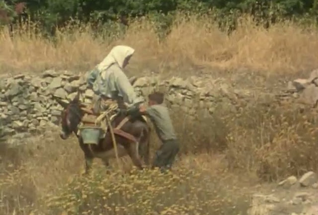 Flick Review < The Tree We Hurt | Dimos Avdeliodis (1986) / Το Δέντρο που Πληγώναμε | Δήμος Αβδελιώδης 11 Flick Review < The Tree We Hurt | Dimos Avdeliodis (1986) / Το Δέντρο που Πληγώναμε | Δήμος Αβδελιώδης 2BDimos2BAvdeliodis2B252822529