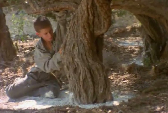 Flick Review < The Tree We Hurt | Dimos Avdeliodis (1986) / Το Δέντρο που Πληγώναμε | Δήμος Αβδελιώδης 13 Flick Review < The Tree We Hurt | Dimos Avdeliodis (1986) / Το Δέντρο που Πληγώναμε | Δήμος Αβδελιώδης 2BDimos2BAvdeliodis2B252832529