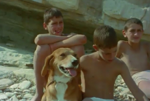 Flick Review < The Tree We Hurt | Dimos Avdeliodis (1986) / Το Δέντρο που Πληγώναμε | Δήμος Αβδελιώδης 19 Flick Review < The Tree We Hurt | Dimos Avdeliodis (1986) / Το Δέντρο που Πληγώναμε | Δήμος Αβδελιώδης 2BDimos2BAvdeliodis2B252882529