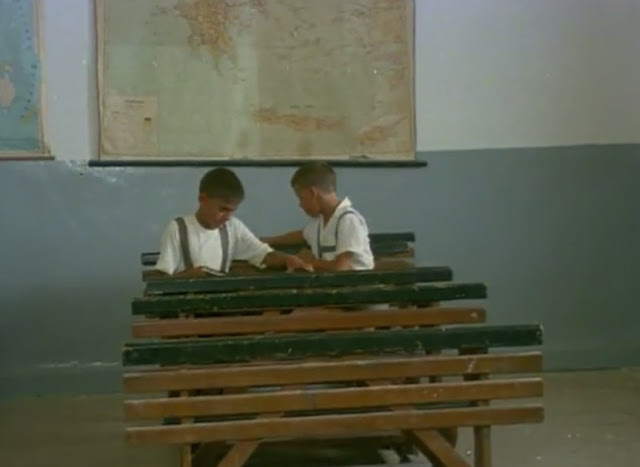 Flick Review < The Tree We Hurt | Dimos Avdeliodis (1986) / Το Δέντρο που Πληγώναμε | Δήμος Αβδελιώδης 6 Flick Review < The Tree We Hurt | Dimos Avdeliodis (1986) / Το Δέντρο που Πληγώναμε | Δήμος Αβδελιώδης The2BTree2BWe2BHurt2B2528122529