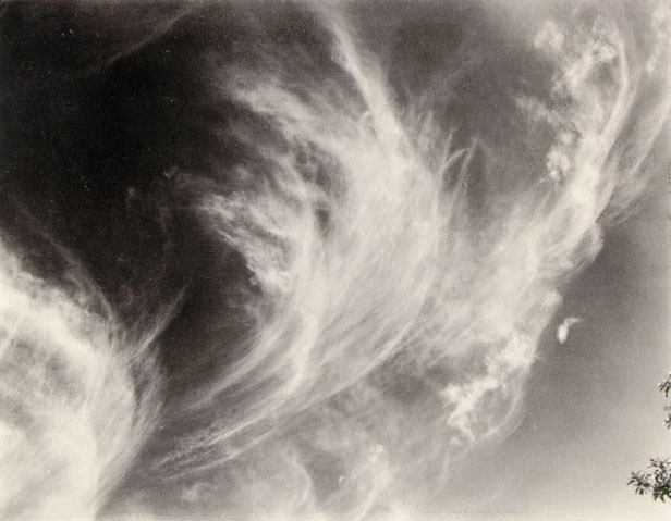 Equivalents | Photos by Alfred Stieglitz (1910-1930)