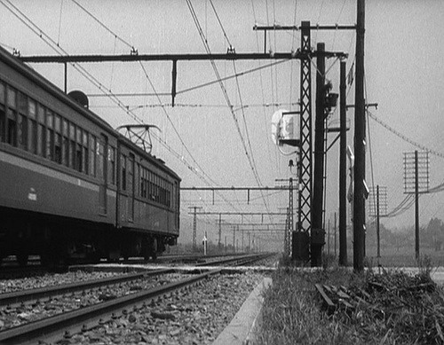 Late.Spring2529.252819492529.3 z