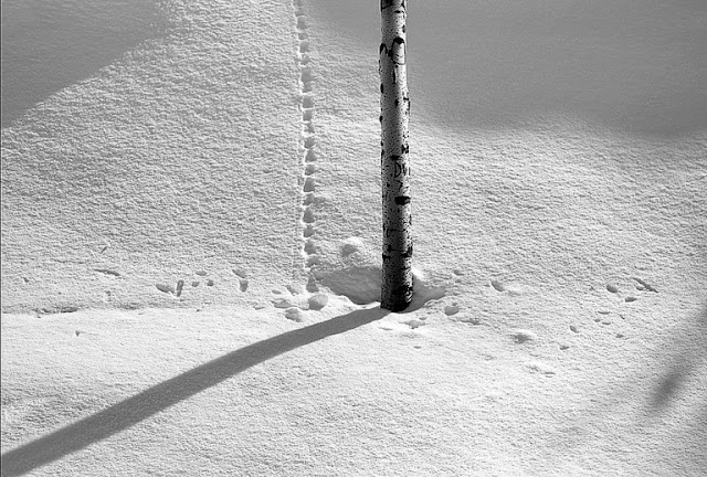 Snow White | Photos by Abbas Kiarostami (1978-2003) 5 Snow White | Photos by Abbas Kiarostami (1978-2003) Abbas Kiarostami 6 768x519 1