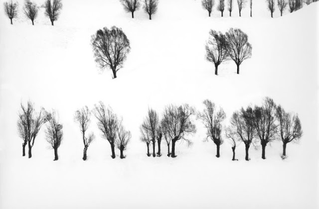 Snow White | Photos by Abbas Kiarostami (1978-2003) 4 Snow White | Photos by Abbas Kiarostami (1978-2003) Abbas2BKiarostami 2