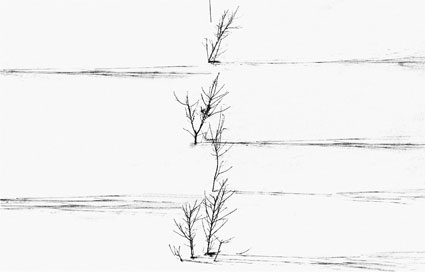 Snow White | Photos by Abbas Kiarostami (1978-2003) 12 Snow White | Photos by Abbas Kiarostami (1978-2003) Abbas2BKiarostami 3