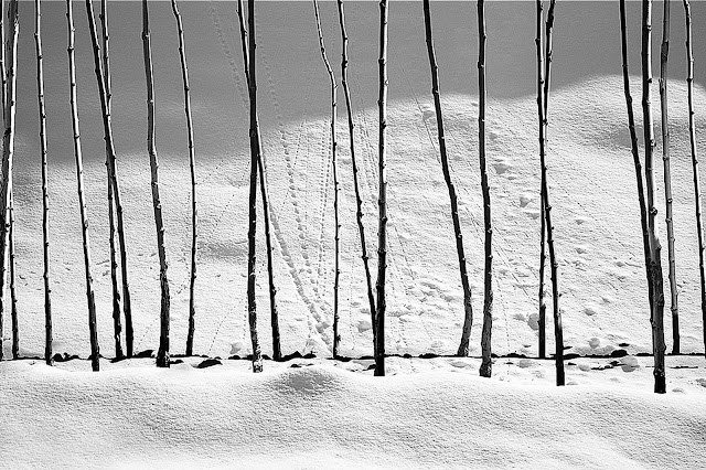 Snow White | Photos by Abbas Kiarostami (1978-2003) 9 Snow White | Photos by Abbas Kiarostami (1978-2003) Abbas2BKiarostami252C2BSnow2Bwhite252C2B1987