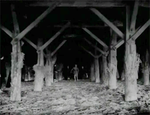 Flick Review < Carnival Of Souls | Herk Harvey (1962) 39 Flick Review < Carnival Of Souls | Herk Harvey (1962) Carnival2BOf2BSouls 6