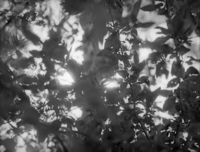 Flick Review < Carnival Of Souls | Herk Harvey (1962) 24 Flick Review < Carnival Of Souls | Herk Harvey (1962) Carnival2BOf2BSouls2B2528197725292B 2BHerk2BHarvey