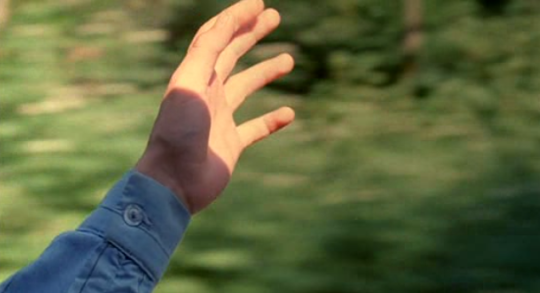 Flick Review < The Color of Paradise | Majid Majidi (1999) 23 Flick Review < The Color of Paradise | Majid Majidi (1999) The2BColor2Bof2BParadise