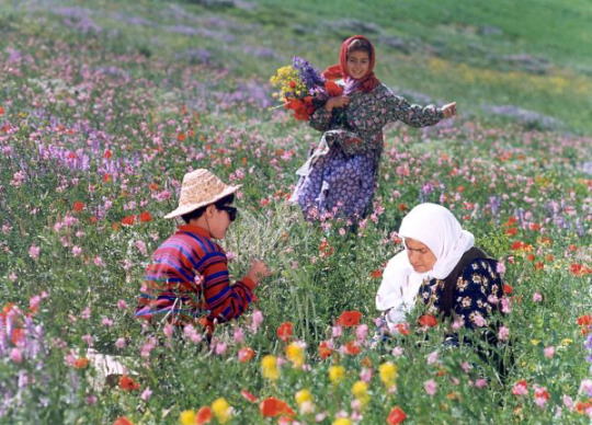 Flick Review < The Color of Paradise | Majid Majidi (1999) 7 Flick Review < The Color of Paradise | Majid Majidi (1999) The2BColor2Bof2BParadise1