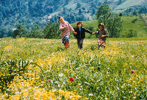 Flick Review < The Color of Paradise | Majid Majidi (1999) 4 Flick Review < The Color of Paradise | Majid Majidi (1999) The2BColor2Bof2BParadise2