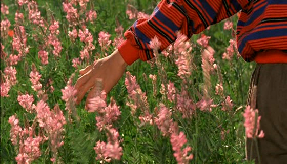 Flick Review < The Color of Paradise | Majid Majidi (1999) 5 Flick Review < The Color of Paradise | Majid Majidi (1999) The2BColor2Bof2BParadise2