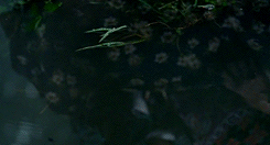 Flick Review < The Color of Paradise | Majid Majidi (1999) 38 Flick Review < The Color of Paradise | Majid Majidi (1999) The2BColor2Bof2BParadise252C2B19992B252822529