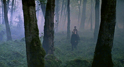 Flick Review < The Color of Paradise | Majid Majidi (1999) 34 Flick Review < The Color of Paradise | Majid Majidi (1999) The2BColor2Bof2BParadise252C2B19992B252832529