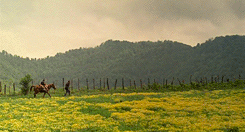 Flick Review < The Color of Paradise | Majid Majidi (1999) 17 Flick Review < The Color of Paradise | Majid Majidi (1999) The2BColor2Bof2BParadise252C2B19992B252842529