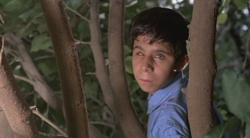 Flick Review < The Color of Paradise | Majid Majidi (1999) 11 Flick Review < The Color of Paradise | Majid Majidi (1999) The2BColor2Bof2BParadise252C2B19992B252842529