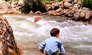 Flick Review < The Color of Paradise | Majid Majidi (1999) 35 Flick Review < The Color of Paradise | Majid Majidi (1999) The2BColor2Bof2BParadise252C2B19992B252862529